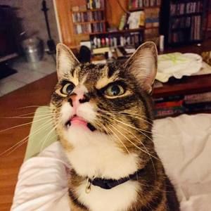 Meet your Posher, Leanne